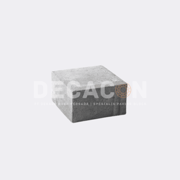 Paving Block Tahu