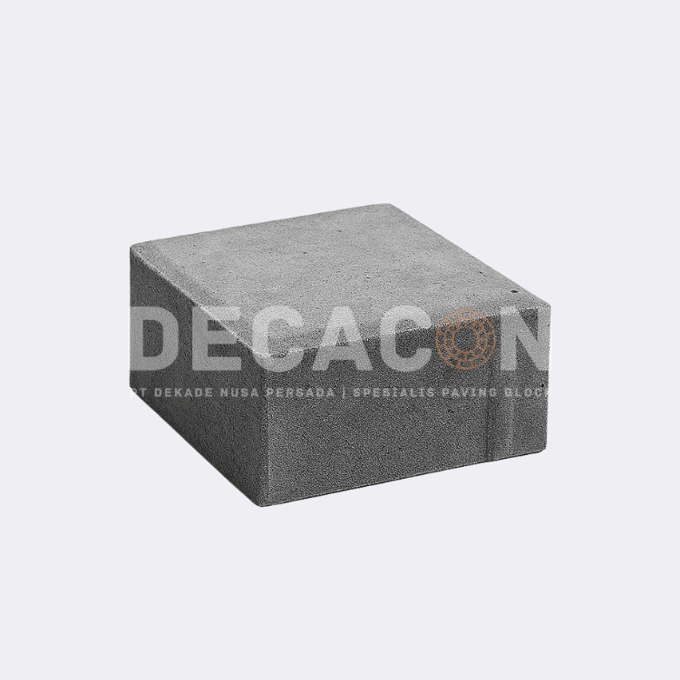 Paving Block Tahu